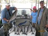 (04/09/2015) - Nice Striped Bass